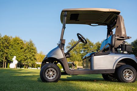Leisurely Ride: Golf Buggy Amidst Greenery